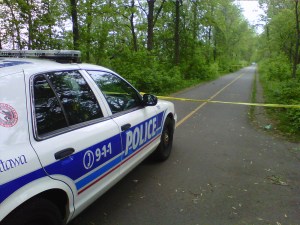 cruiser forest tape 20130526