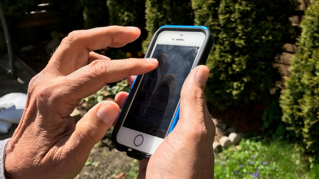 Top 5 Places for a Digital Detox in Milton